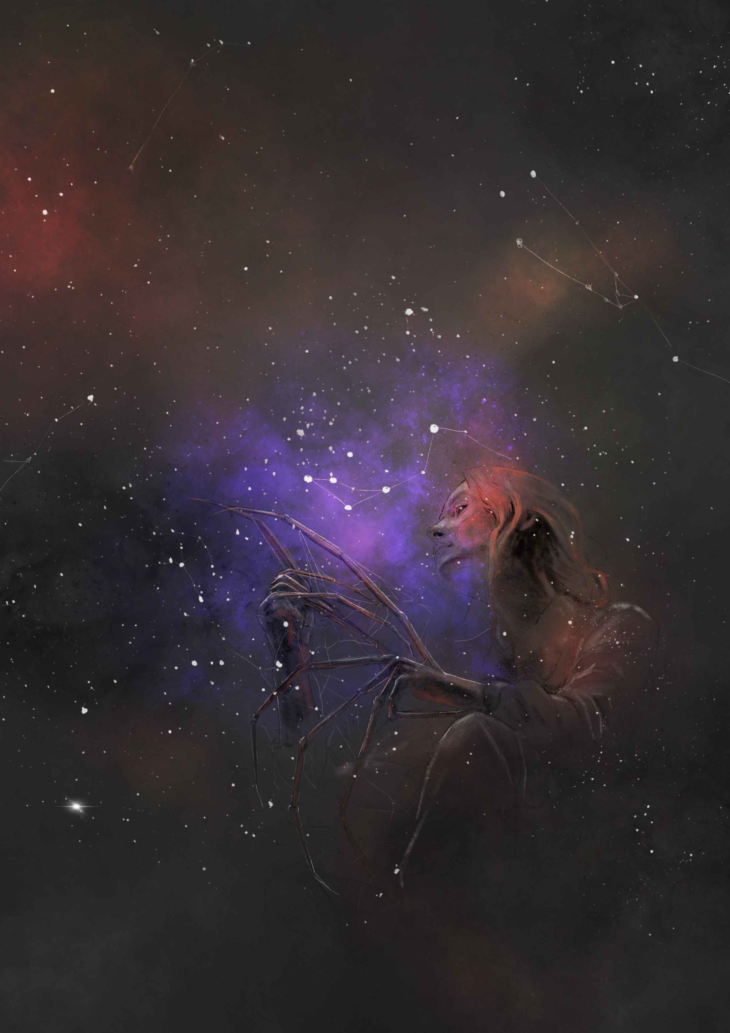 סגנון ייחודי