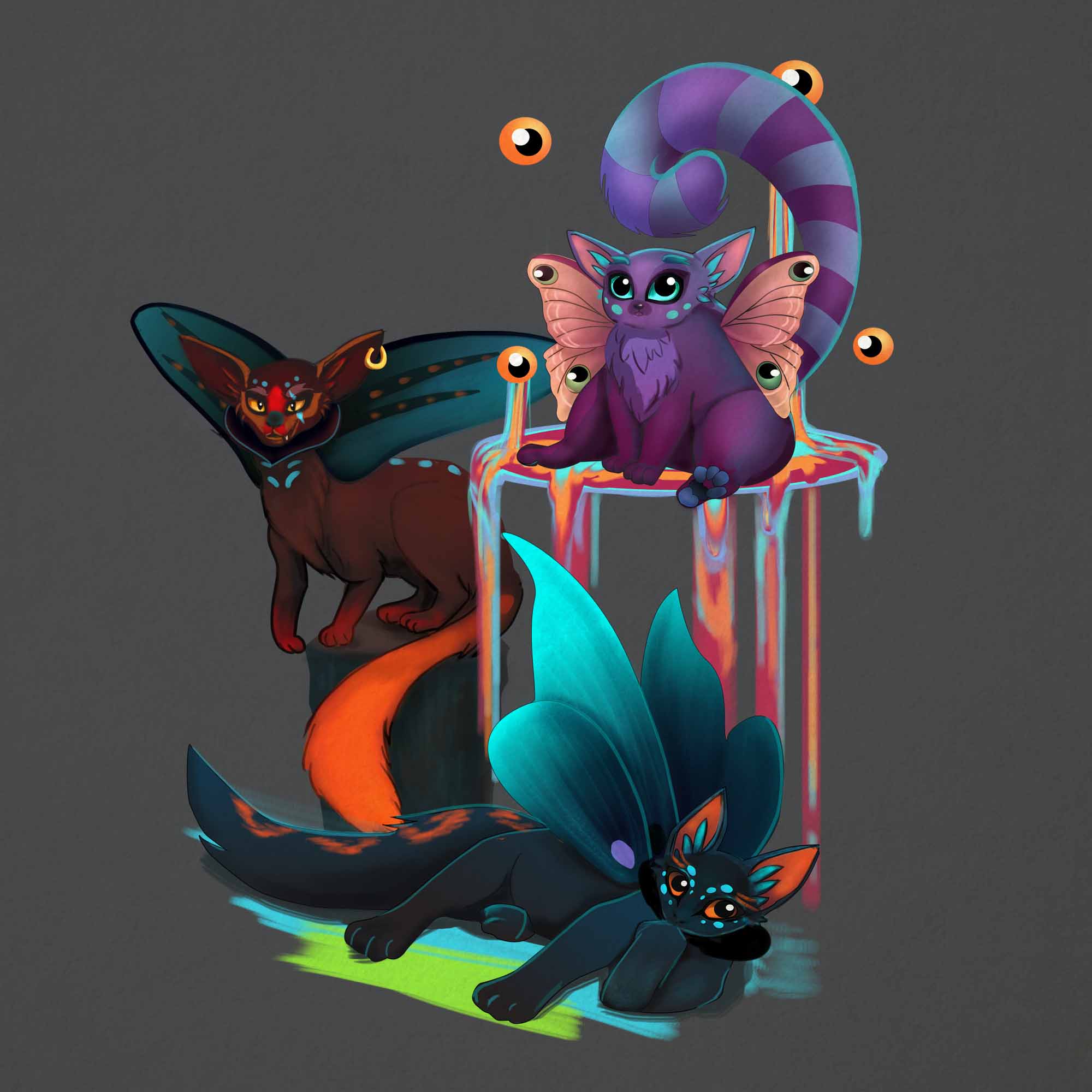 עיצובים מיוחדים