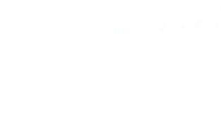רומיר קעקועים - קעקועים קטנים ומיוחדים בתל אביב